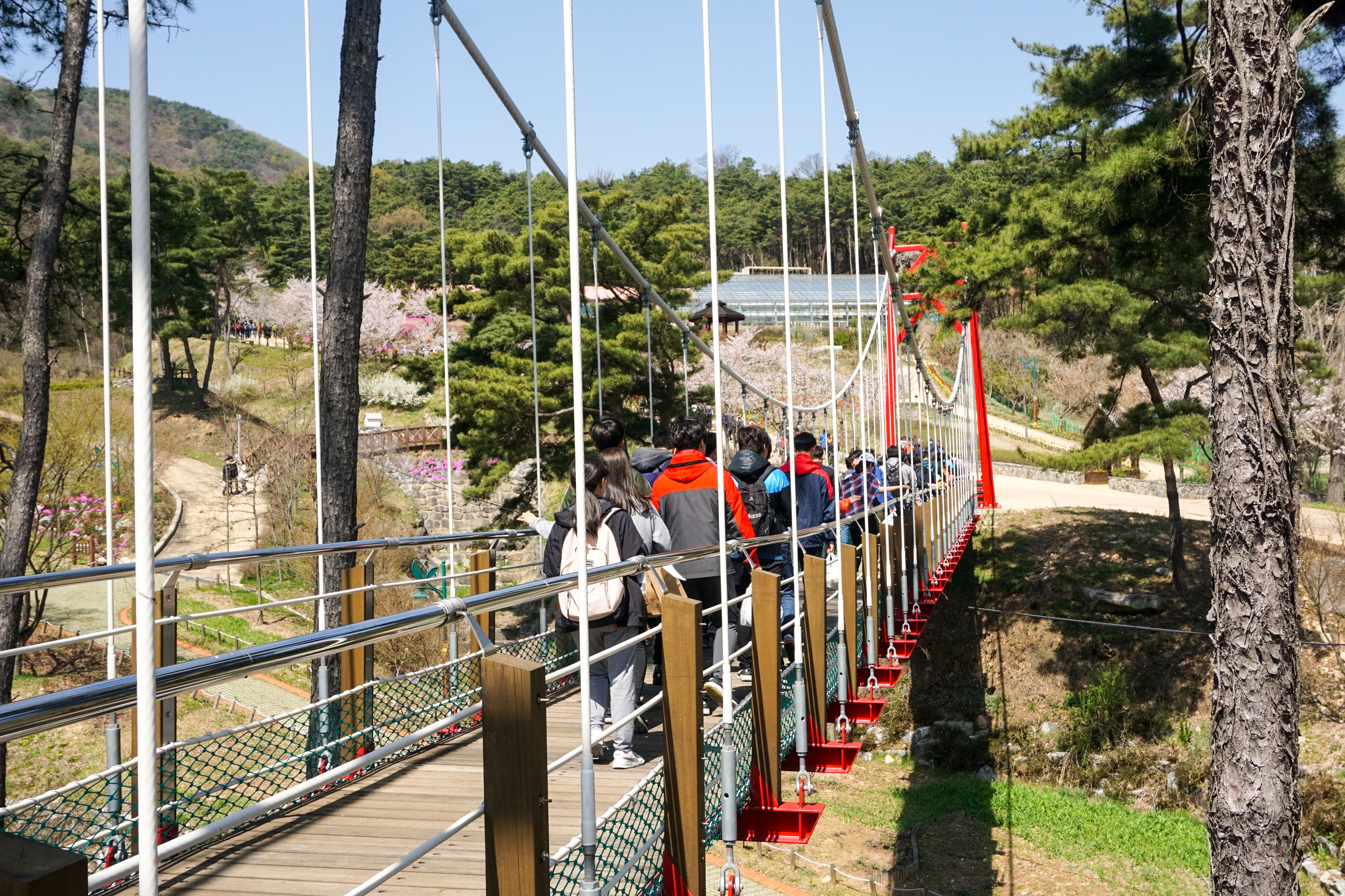 2019년 노사 한마음 전직원 춘계산행