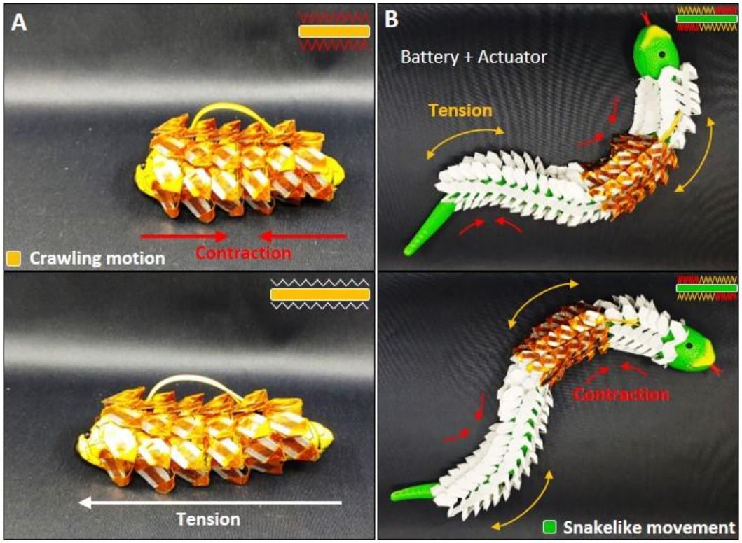 The stretchable snake scale-like battery (photo)